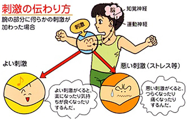 スパイラルテーピング